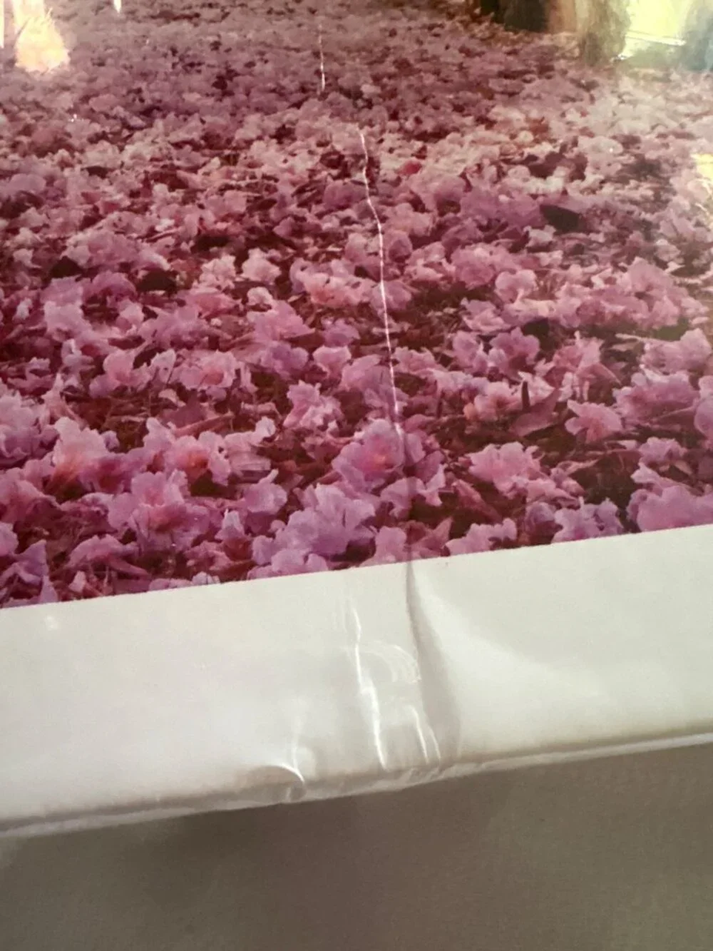 1000-Piece Jigsaw Puzzle With Purple Tree Pathway 750x500mm High-Quality Wood Pr